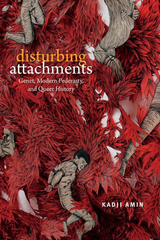 Front cover_Disturbing Attachments