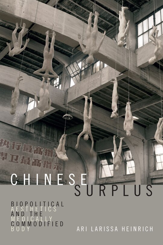 Couverture_Chinese Surplus