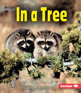 Front cover_In a Tree