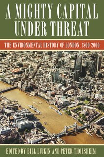 Couverture_A Mighty Capital under Threat