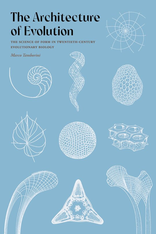 Couverture_The Architecture of Evolution