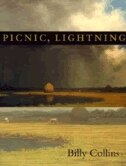 Couverture_Picnic, Lightning
