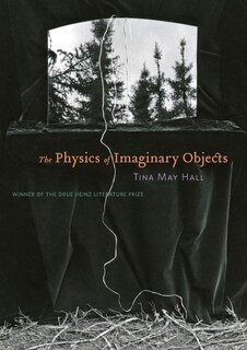 Couverture_The Physics of Imaginary Objects