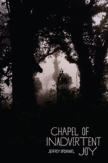 Front cover_Chapel of Inadvertent Joy