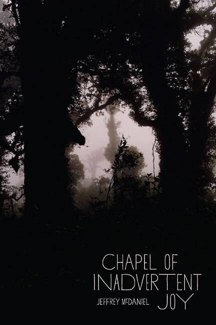 Front cover_Chapel of Inadvertent Joy