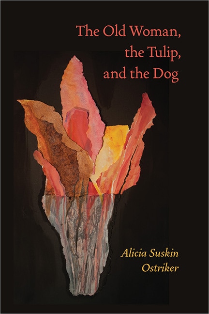 Couverture_The Old Woman, the Tulip, and the Dog