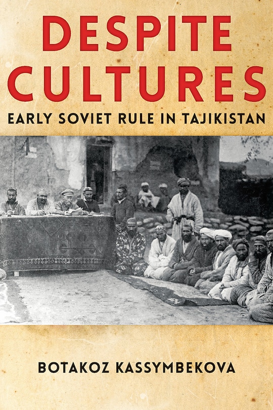 Front cover_Despite Cultures