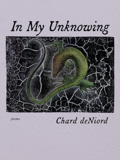 Front cover_In My Unknowing