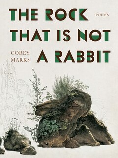 Couverture_The Rock That is Not a Rabbit