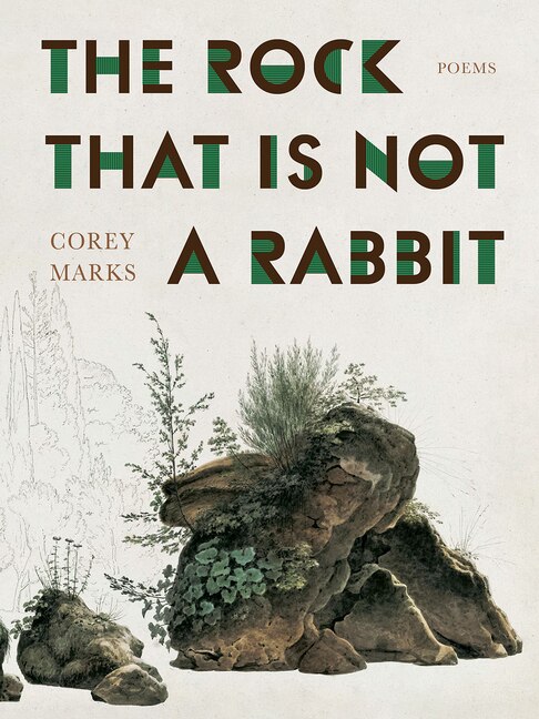 Couverture_The Rock That is Not a Rabbit