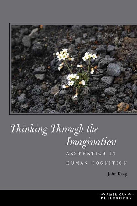 Front cover_Thinking Through the Imagination