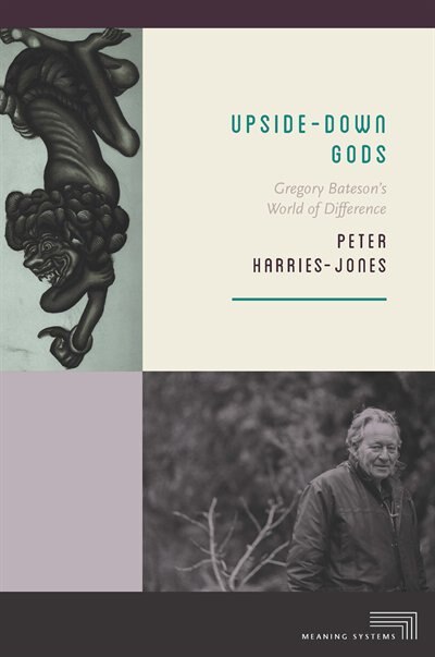 Couverture_Upside-Down Gods