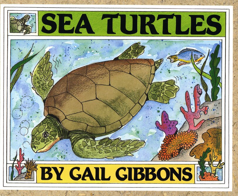 Couverture_Sea Turtles