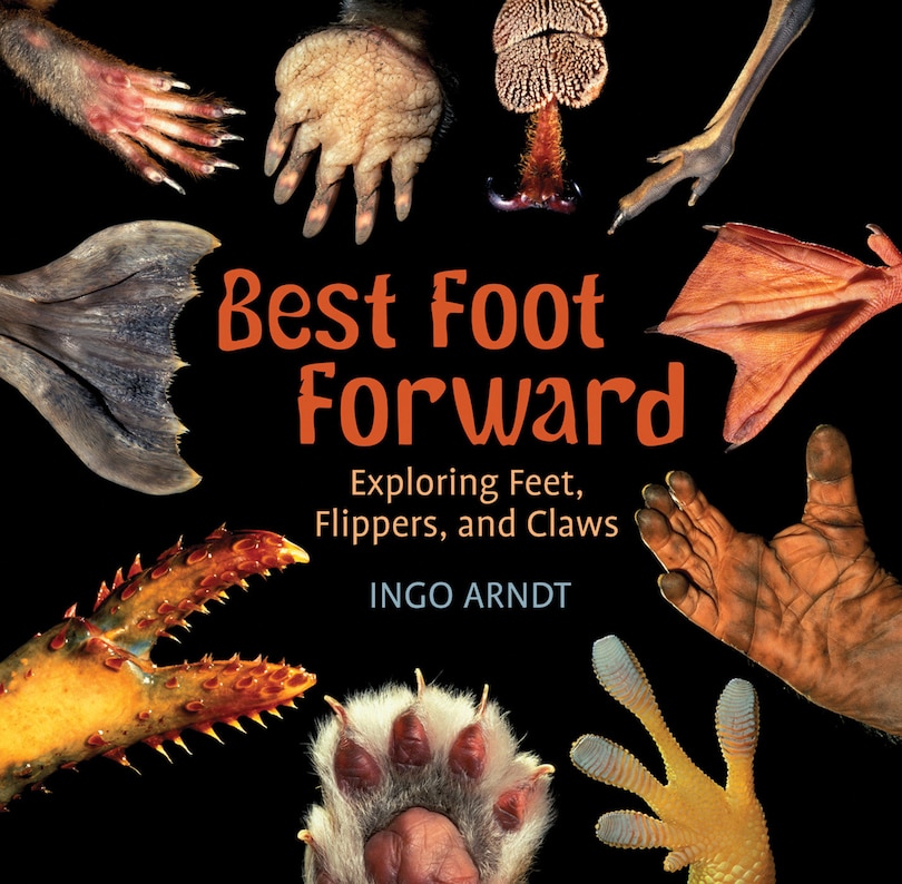 Front cover_Best Foot Forward