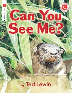 Couverture_Can You See Me?