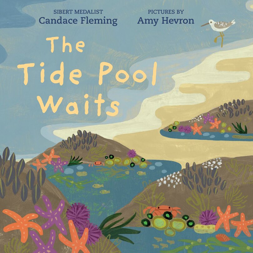 Couverture_The Tide Pool Waits