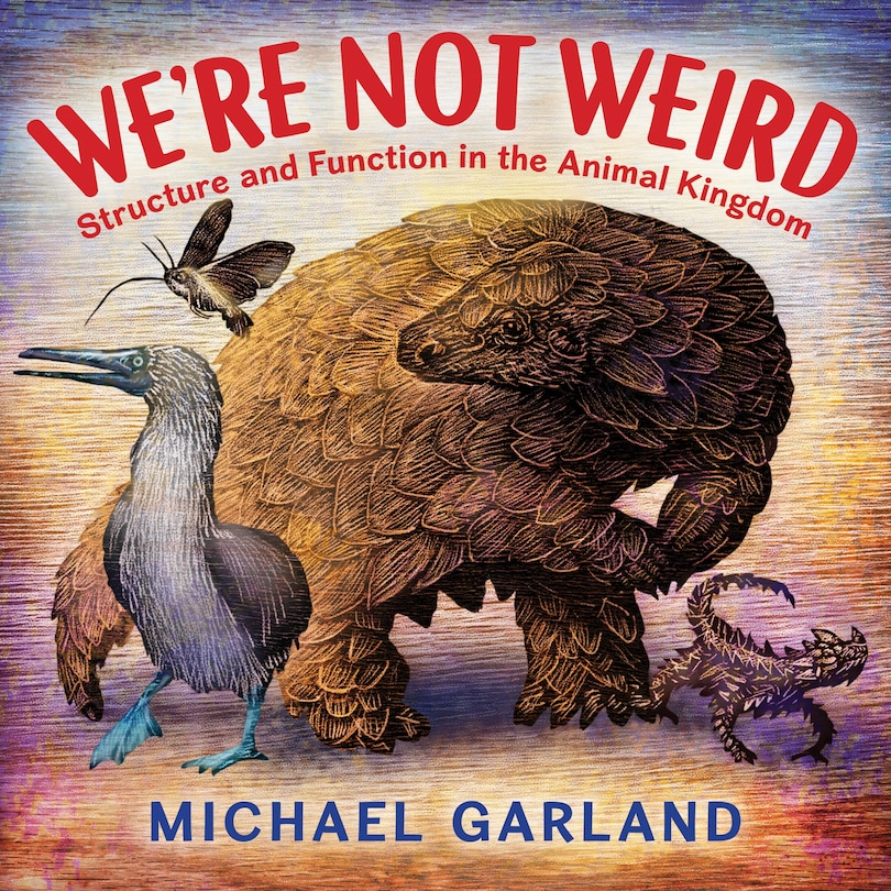 Front cover_We're Not Weird