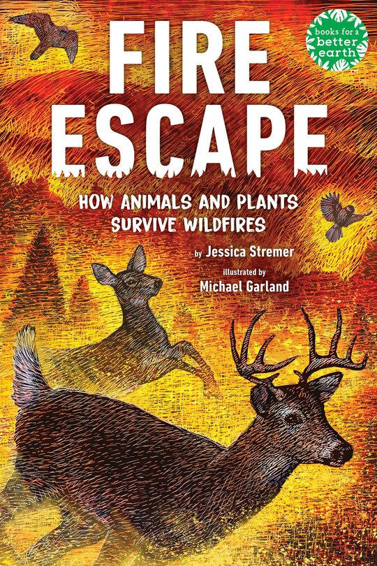 Front cover_Fire Escape