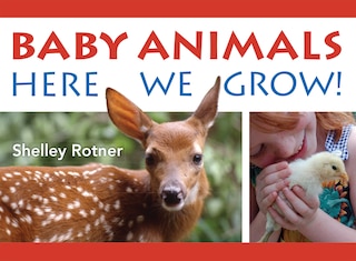 Couverture_Baby Animals!