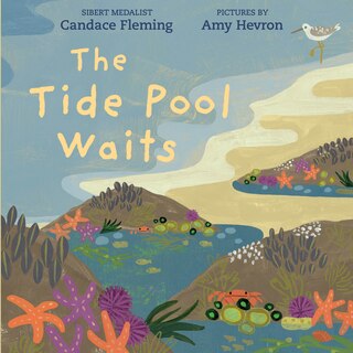 Front cover_The Tide Pool Waits