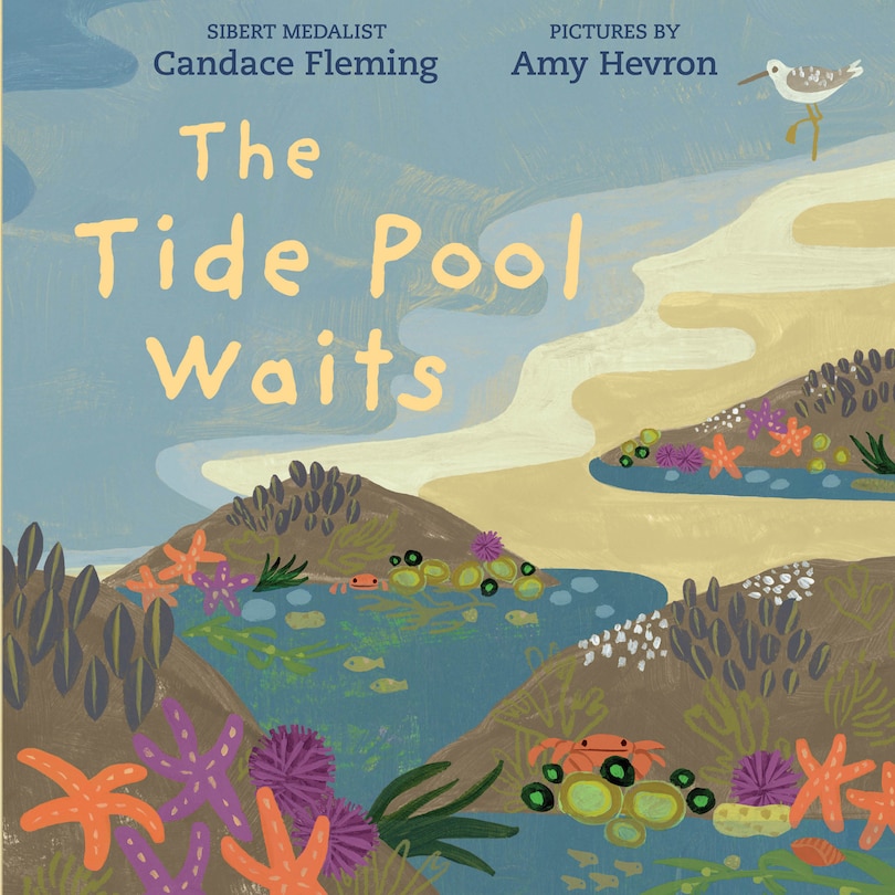 Front cover_The Tide Pool Waits
