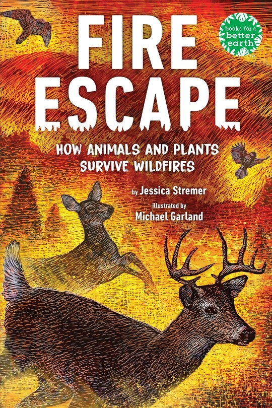 Front cover_Fire Escape