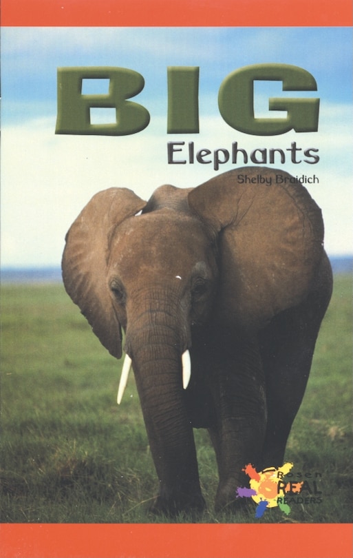 Couverture_Big Elephants
