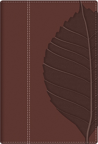 BIBLIA DE ESTUDIO: VIDAS TRANSFORMADAS: Transformation Study Bible, The