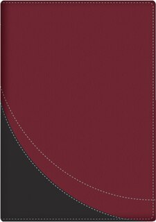 Front cover_La Biblia en orden cronológico