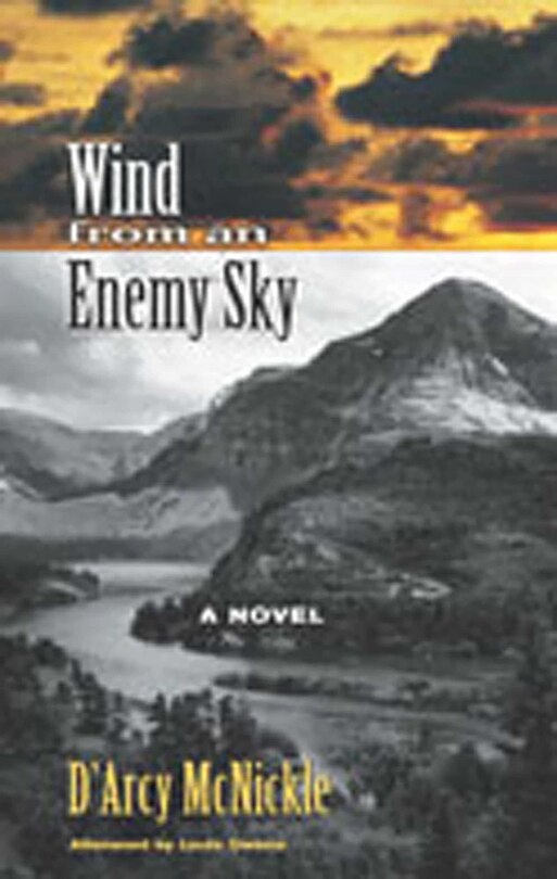 Front cover_Wind From An Enemy Sky