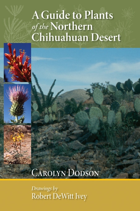 Front cover_A Guide to Plants of the Northern Chihuahuan Desert