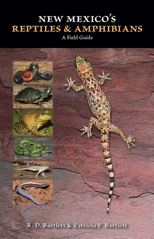 Couverture_New Mexico's Reptiles and Amphibians
