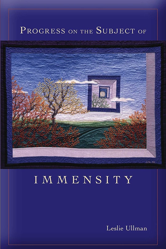 Front cover_Progress on the Subject of Immensity