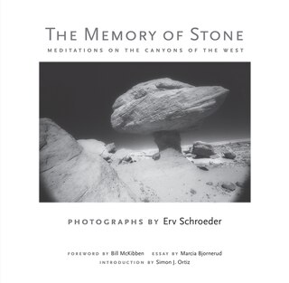 Front cover_The Memory of Stone
