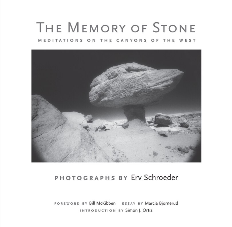 Front cover_The Memory of Stone
