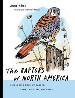 Front cover_The Raptors of North America