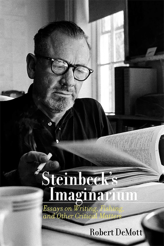 Couverture_Steinbeck's Imaginarium