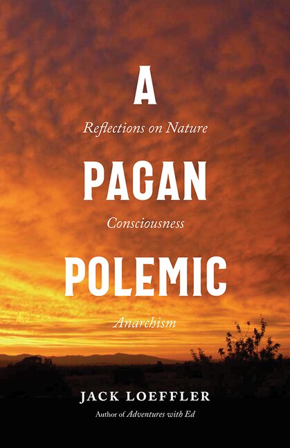 Couverture_A Pagan Polemic