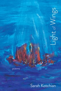 Front cover_Light of Wings