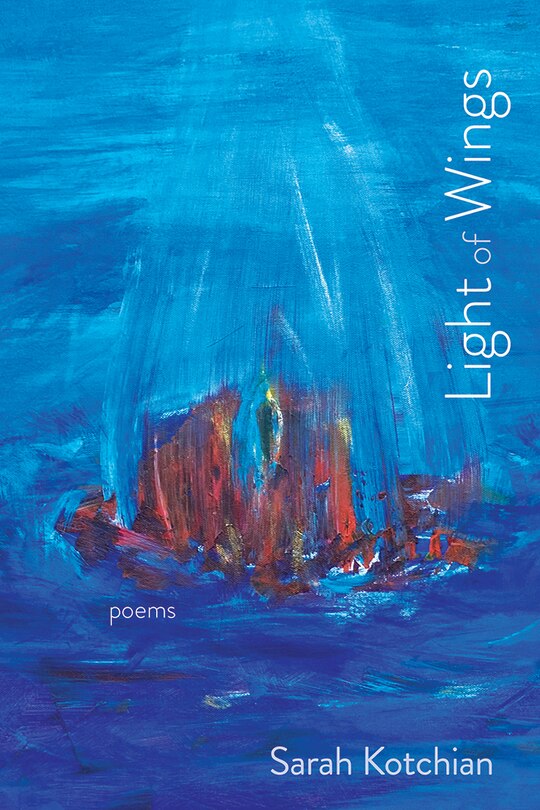 Front cover_Light of Wings