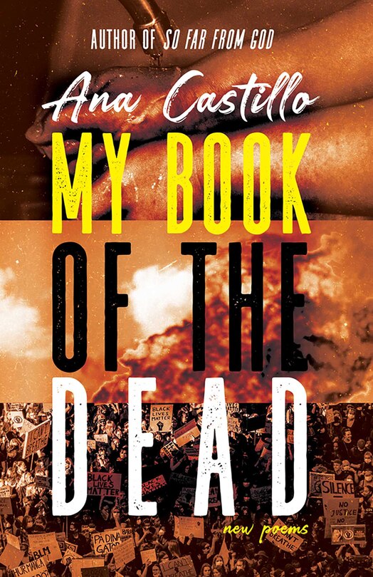 Front cover_My Book of the Dead
