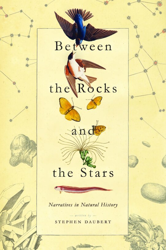 Couverture_Between The Rocks And The Stars