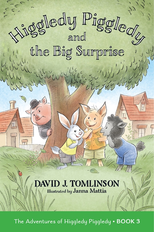 Couverture_Higgledy Piggledy and the Big Surprise