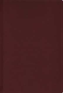 Front cover_RVR, Biblia de estudio trasfondo cultural, Leathersoft, Rojo vino, Interior a color, con Índice, Comfort Print