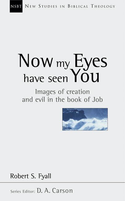 Couverture_Now My Eyes Have Seen You