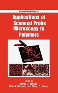 Applications Of Scanned Probe Microscopy To Polymers