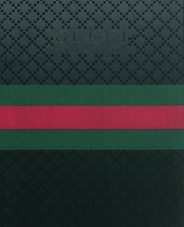 Front cover_Gucci : the making of