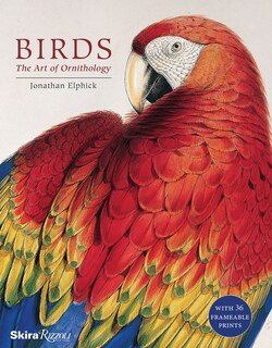 Birds: The Art Of Ornithology