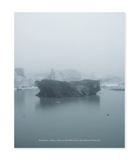 Front cover_Roni Horn