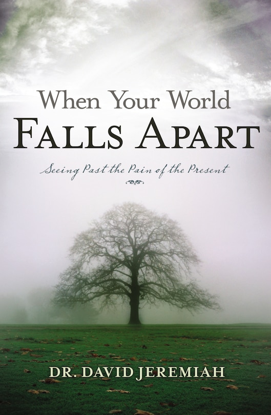 Couverture_When Your World Falls Apart